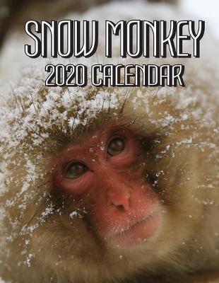 Book cover for Snow Monkey 2020 Calendar
