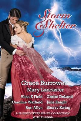 Book cover for Storm and Shelter