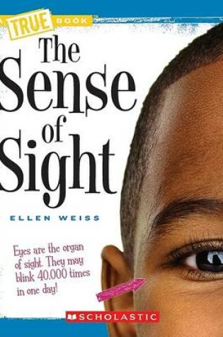 Cover of The Sense of Sight