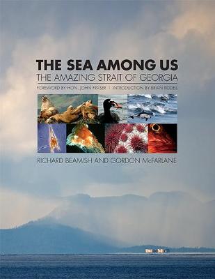 Book cover for Sea Among Us