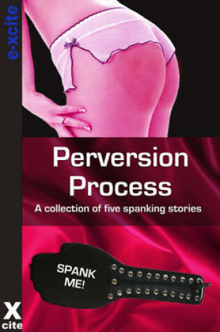 Cover of Perversion Process