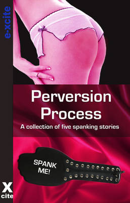 Cover of Perversion Process