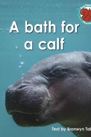 Cover of A bath for a calf