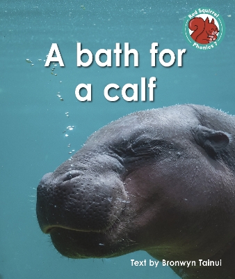 Book cover for A bath for a calf