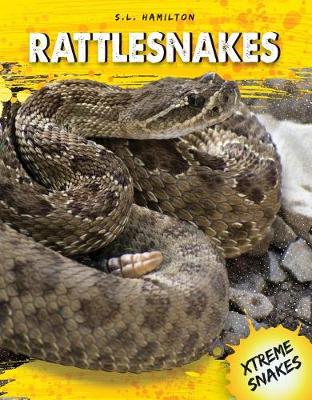 Cover of Rattlesnakes