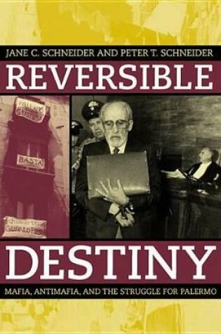 Cover of Reversible Destiny