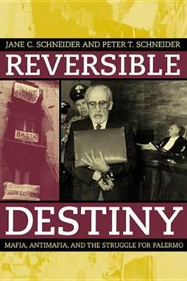 Book cover for Reversible Destiny