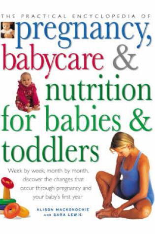 Cover of Pregnancy, Babycare & Nutrition for Babies & Toddlers