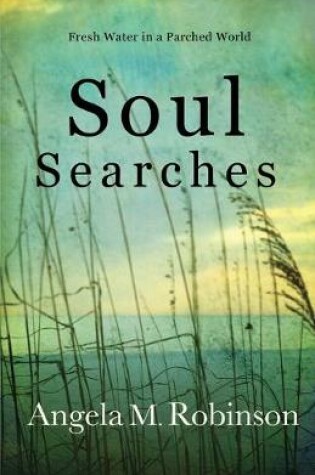 Cover of Soul Searches