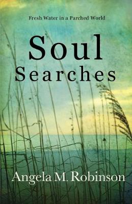 Book cover for Soul Searches