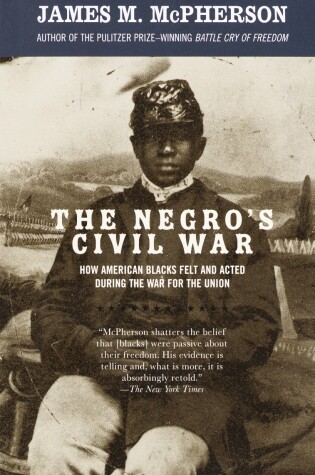 Cover of The Negro's Civil War