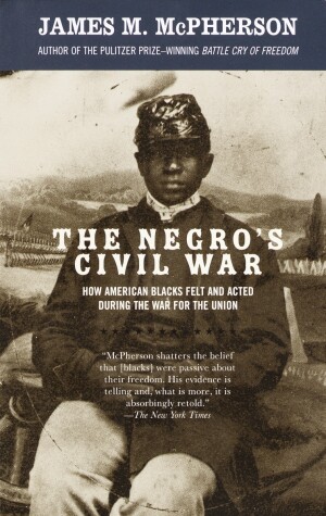 Cover of The Negro's Civil War