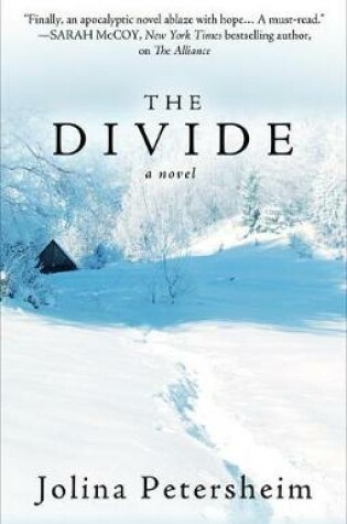 Cover of The Divide