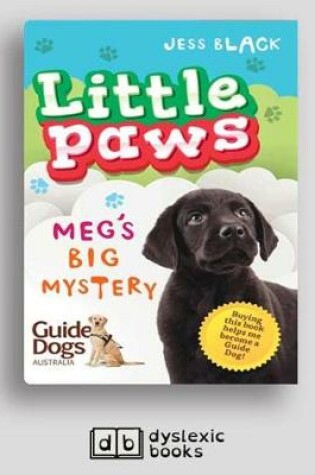 Cover of Meg's Big Mystery