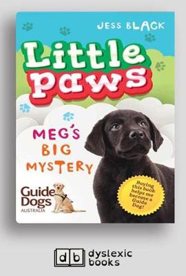 Book cover for Meg's Big Mystery