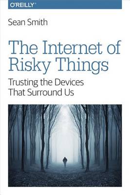 Book cover for The Internet of Risky Things
