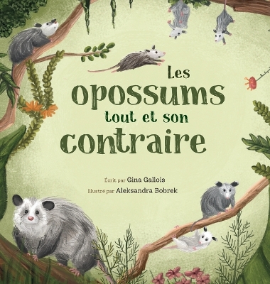 Cover of Les opossums