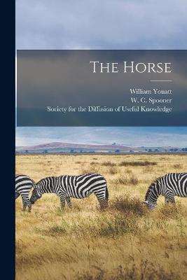 Book cover for The Horse [electronic Resource]