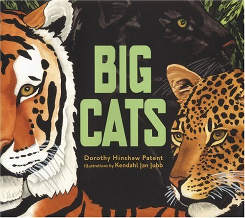 Book cover for Big Cats