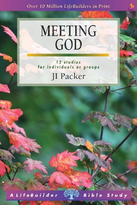 Book cover for Meeting God (Lifebuilder Study Guides)