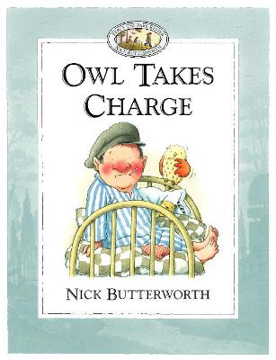 Book cover for Owl Takes Charge