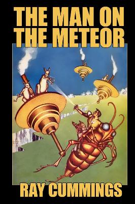 Book cover for The Man on the Meteor