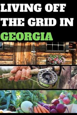 Book cover for Living Off the Grid in Georgia