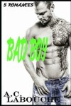 Book cover for Bad Boy