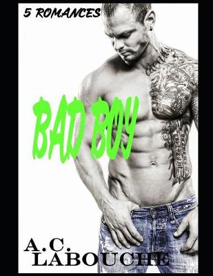 Book cover for Bad Boy