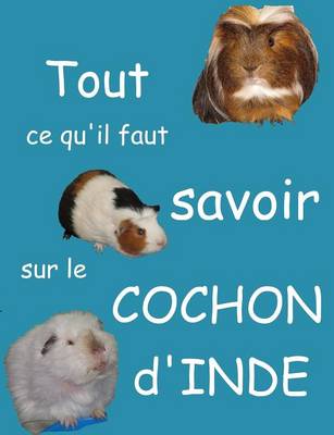 Book cover for Tout Ce Qu'il Faut Savoir Sur Le Cochon d'Inde