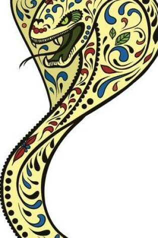 Cover of Website Password Organizer a Cool Sugar Skull Snake