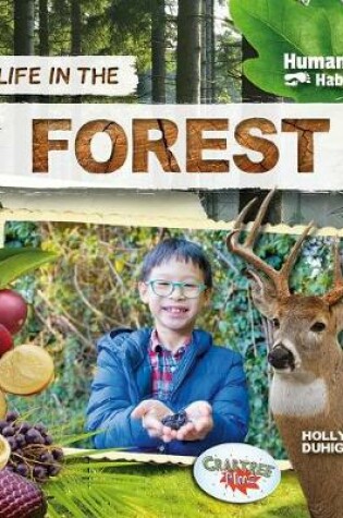 Cover of Life in the Forest