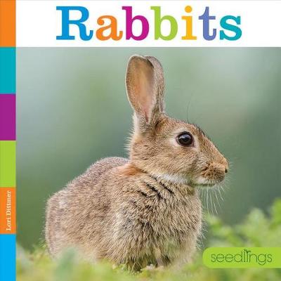 Cover of Rabbits