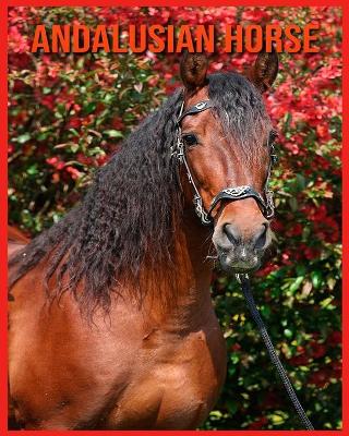 Book cover for Andalusian Horse