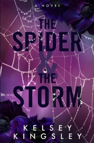 Cover of The Spider & the Storm