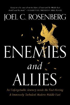 Book cover for Enemies and Allies