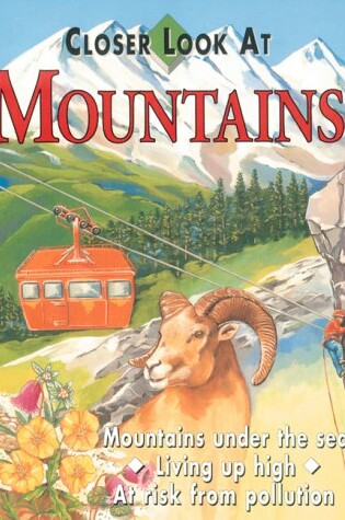 Cover of Mountains(a Closer Look At)