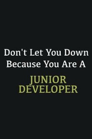 Cover of Don't let you down because you are a Junior Developer