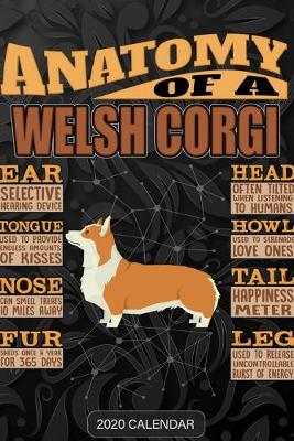 Book cover for Anatomy Of A Pembroke Welsh Corgi