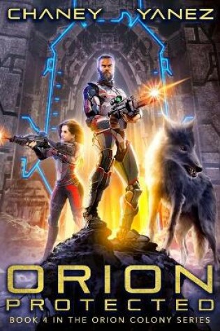 Cover of Orion Protected