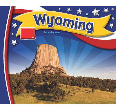 Book cover for Wyoming