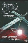 Book cover for Time Crystal 1 - The Convergence