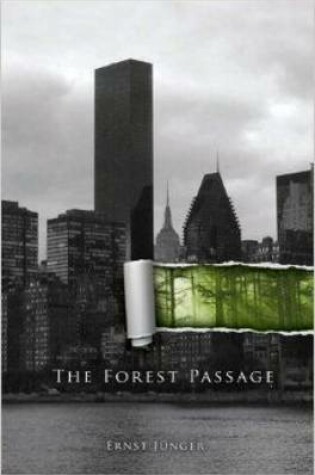 Cover of Forest Passage