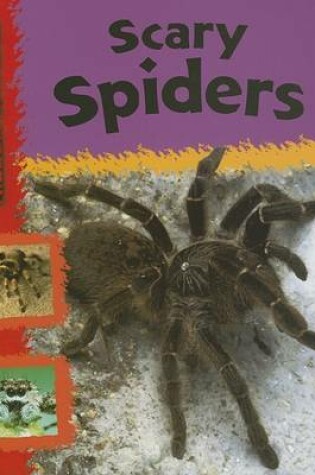 Cover of Scary Spiders