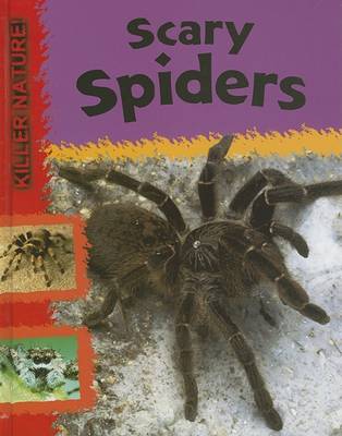 Book cover for Scary Spiders