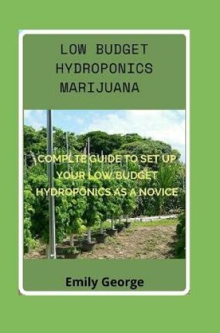 Cover of Low Budget Hydroponics Marijuana