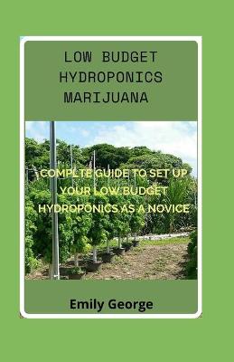 Book cover for Low Budget Hydroponics Marijuana