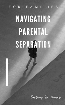 Book cover for Navigating Parental Separation