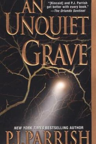 Cover of An Unquiet Grave