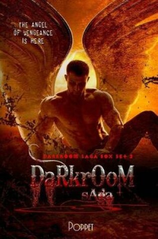 Cover of Darkroom Saga Omnibus 2